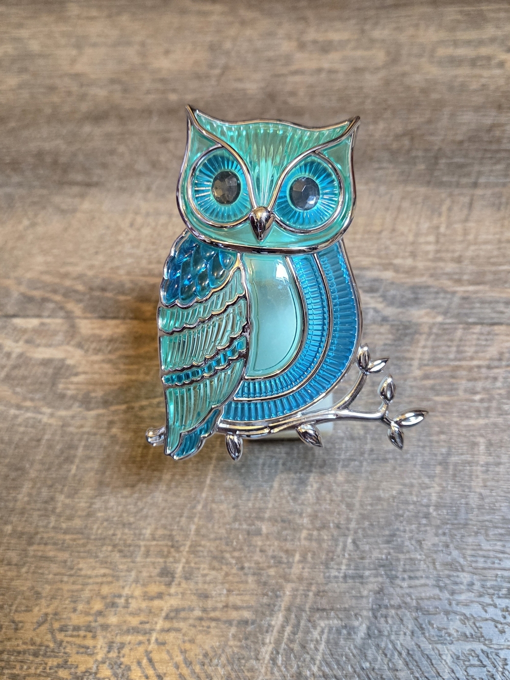 Bath & Body Works Turquoise and Teal Owl Wall Accent